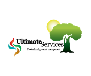 Logo Design by 27th Element Designs
