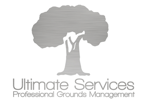 Logo Design by David Winwood