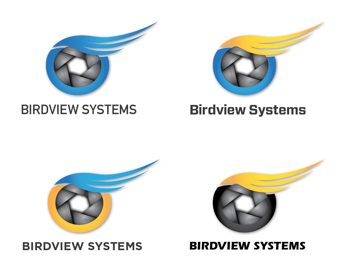 Design de Logo par Jordan G. pour Bird view Systems | Design #3513391