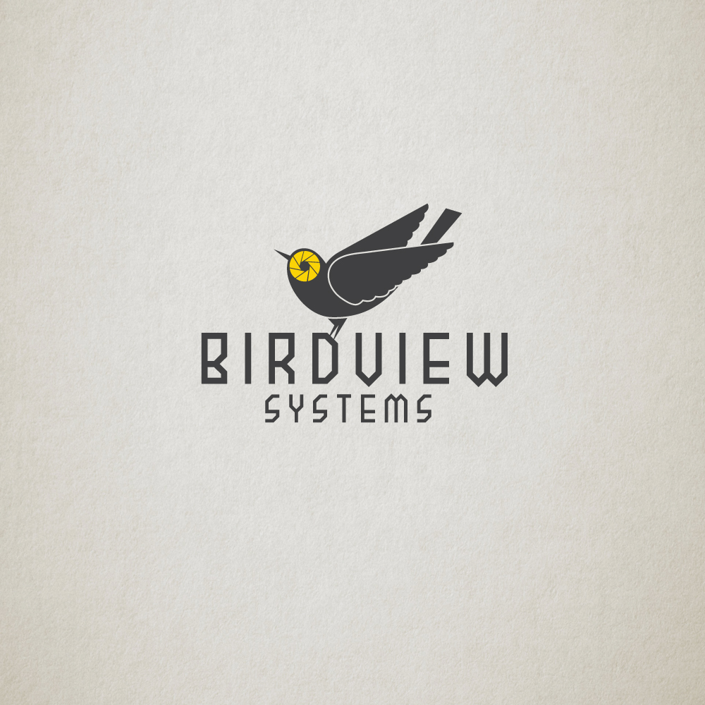 Logo Design by Bakus for Bird view Systems | Design #3472341