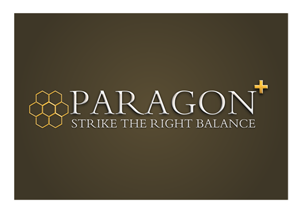 Logo Design by DP12