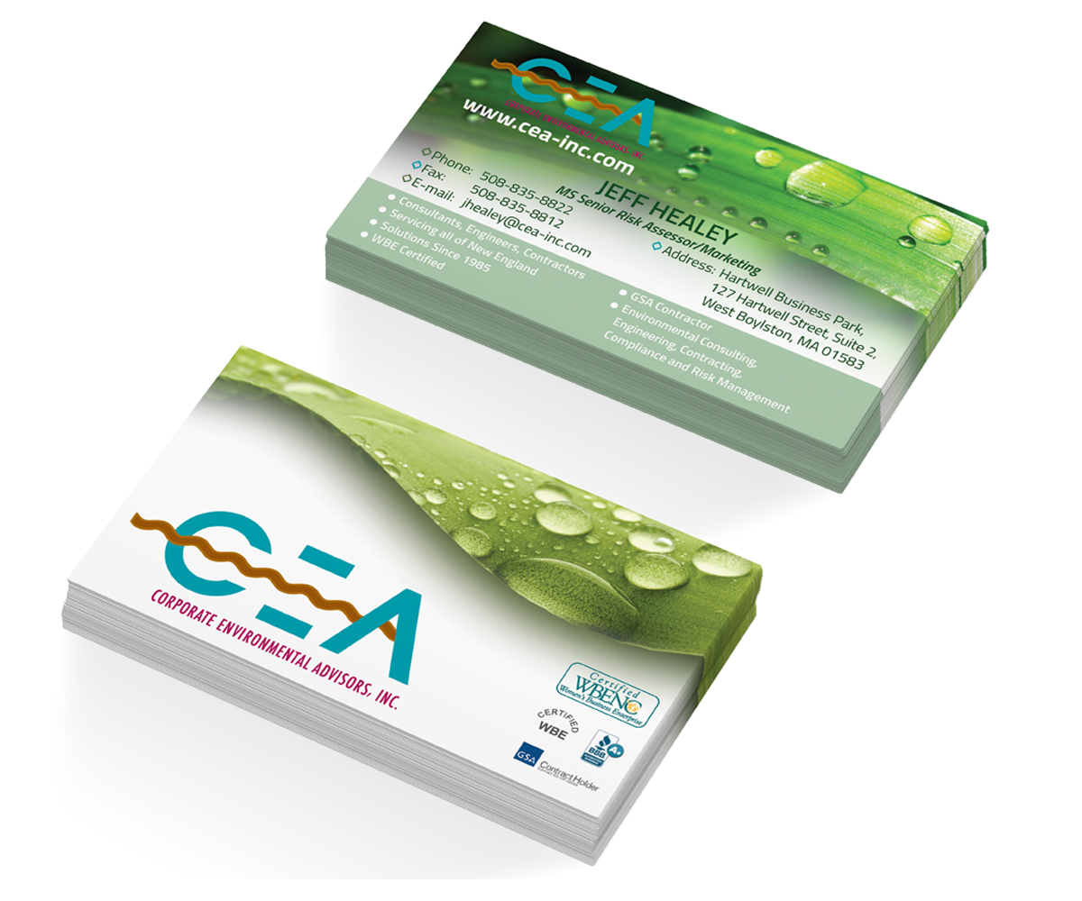 Business Card Design by avdeeva.alex for Corporate Environmental Advisors, Inc.  | Design #3471084