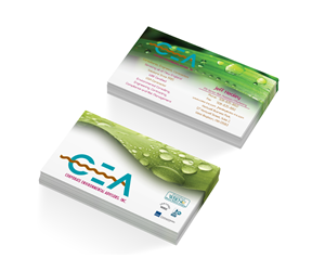 Business Card Design by avdeeva.alex for Corporate Environmental Advisors, Inc.  | Design: #3487599