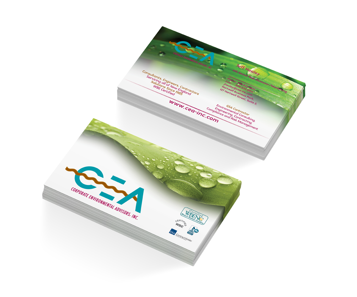 Business Card Design by avdeeva.alex for Corporate Environmental Advisors, Inc.  | Design #3487697