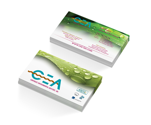 Business Card Design by avdeeva.alex for Corporate Environmental Advisors, Inc.  | Design: #3487741
