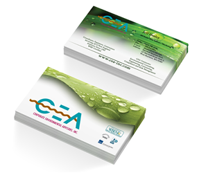Business Card Design by avdeeva.alex for Corporate Environmental Advisors, Inc.  | Design: #3489658