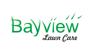 Logo Design by Zivo