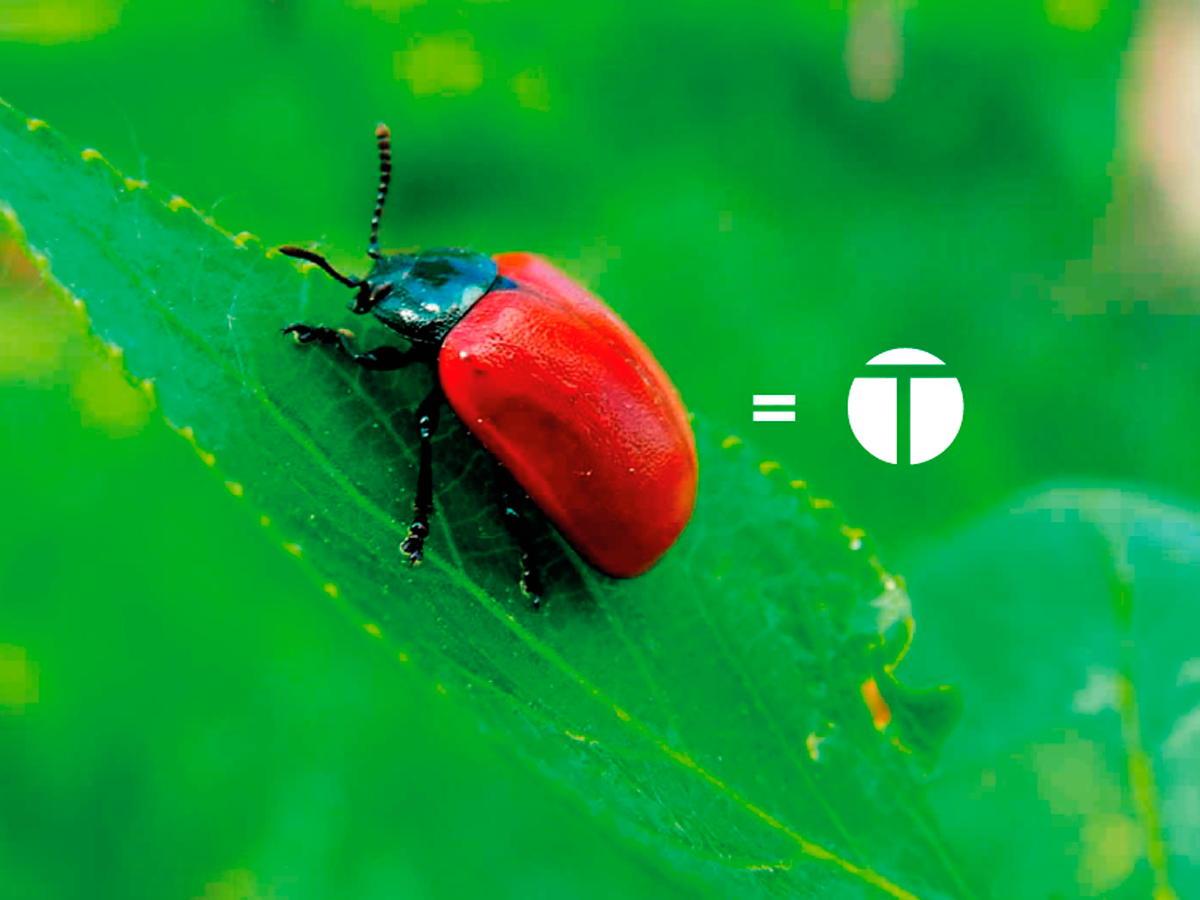 Logo Design by drewSG for this project | Design #864130