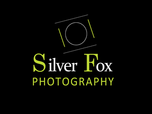 Logo Design by tmfthemes
