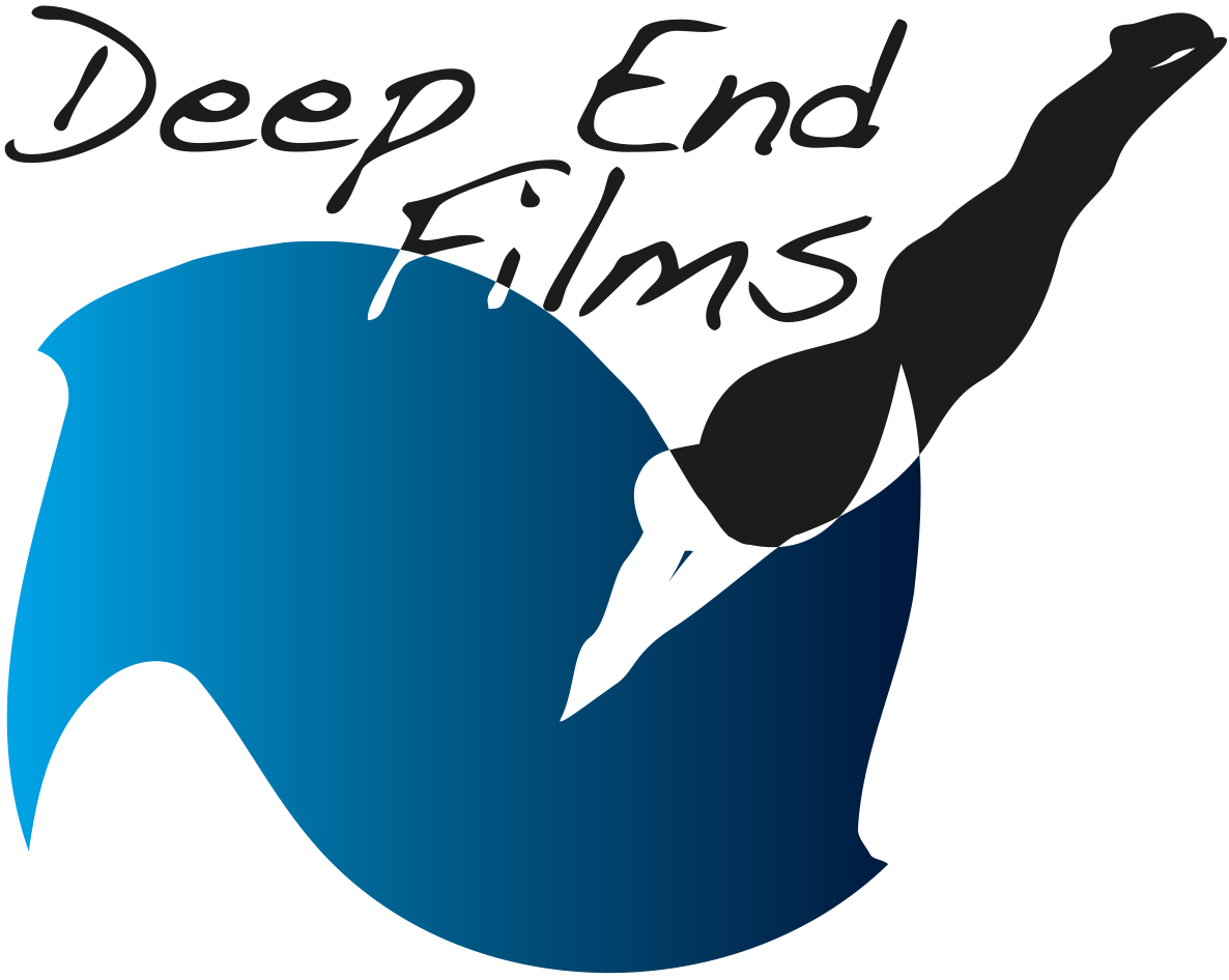 Logo Design by rj holl Art Directions for Deep End Films | Design #3465265