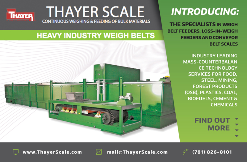 Advertisement Design by Scarletta for Thayer Scale-Hyer Industries, Inc | Design #3602981