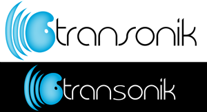 Logo Design by SageJellyfish