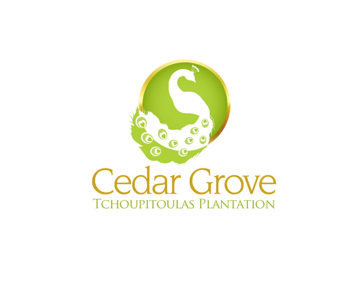 Logo-Design von ZETA für dieses Projekt | Design #3481191