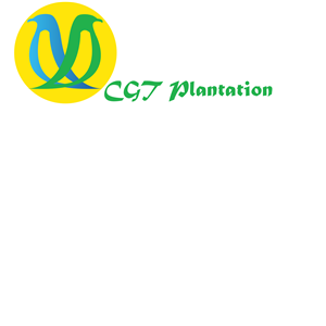 Logo Design by danel