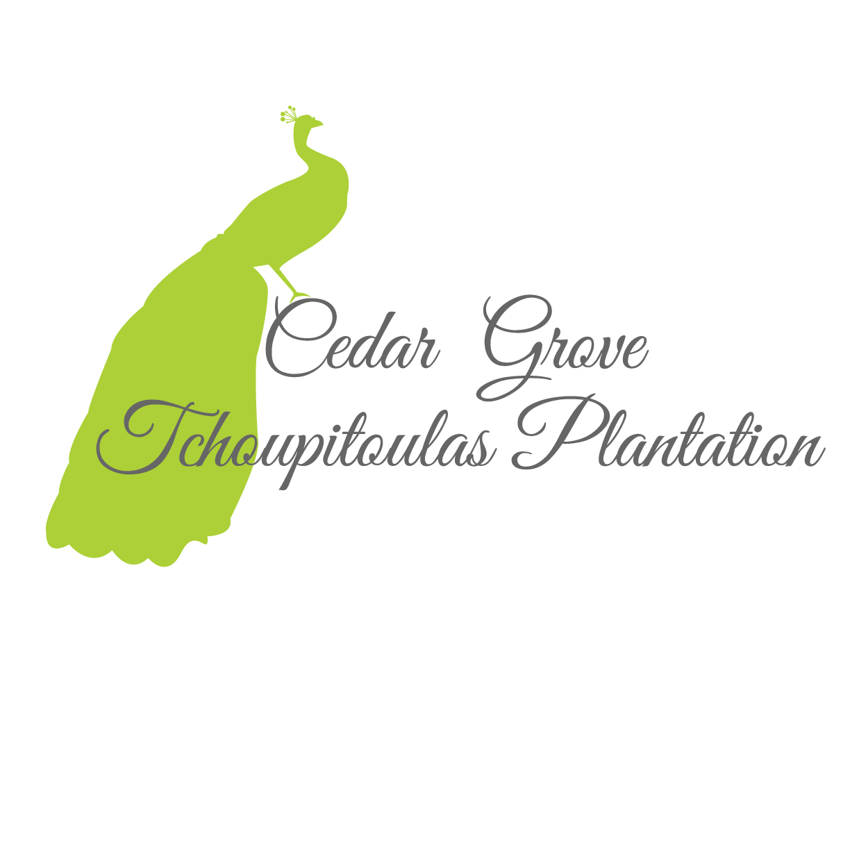 Logo Design by Thomasdesign for this project | Design #3487341