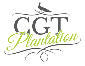 Logo Design by Shaun