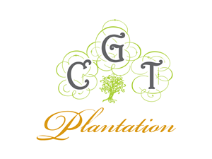Logo Design by design supplier for this project | Design: #3474715