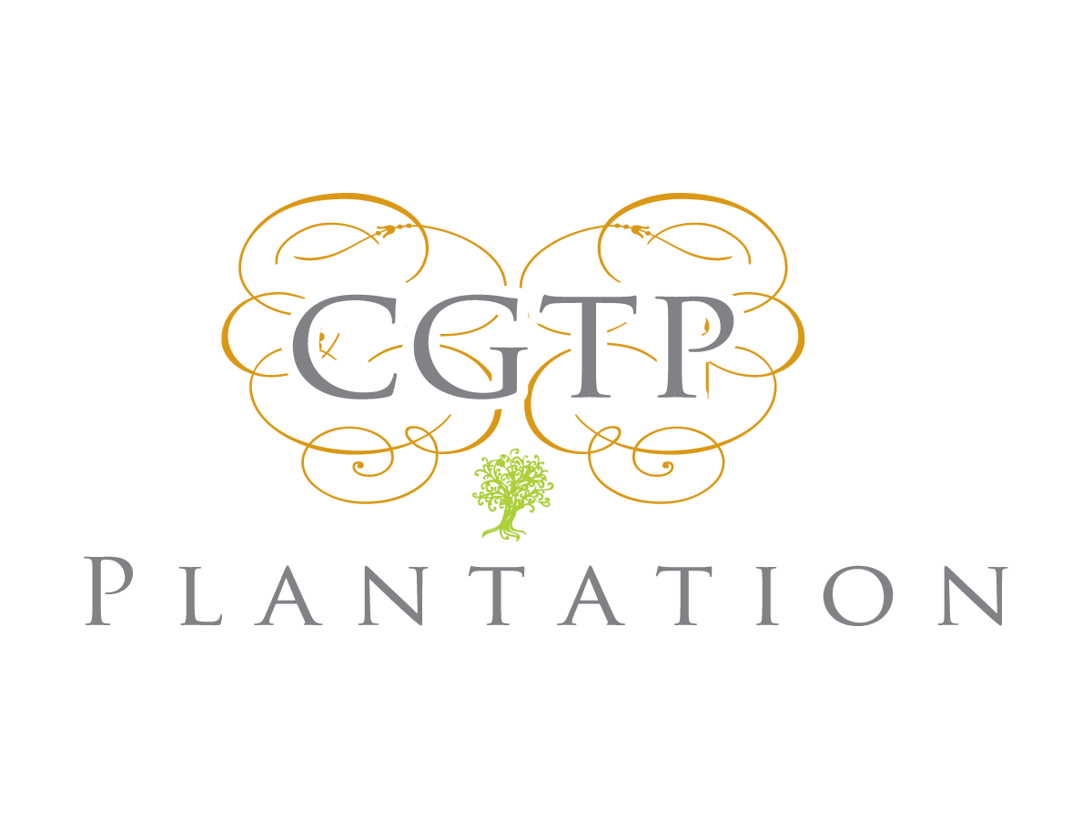 Logo Design by design supplier for this project | Design #3474808