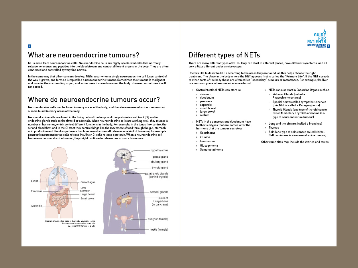 Design de Brochure par suestrobel pour ce projet | Design #3806870