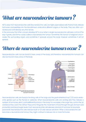 Cancer patient info booklet - NZ charity | Brochure Design by Mediainfy