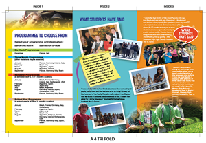 NZIIU Student Exchange needs a brochure design | Brochure Design by designgreen