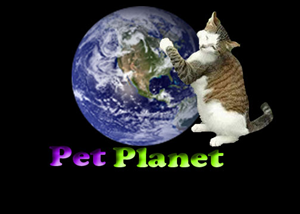 Logo Design by Donny for this project | Design: #861752