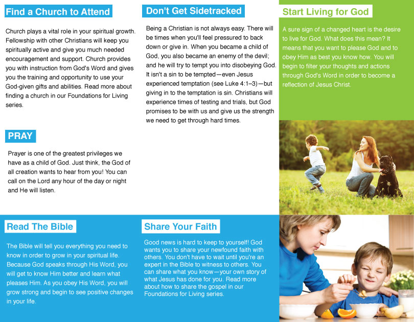 Diseño de Brochure por Sigita para este proyecto | Diseño #3495357