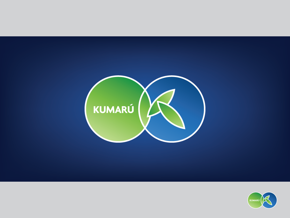 Design de Logo par papaukke pour ce projet | Design #3474925