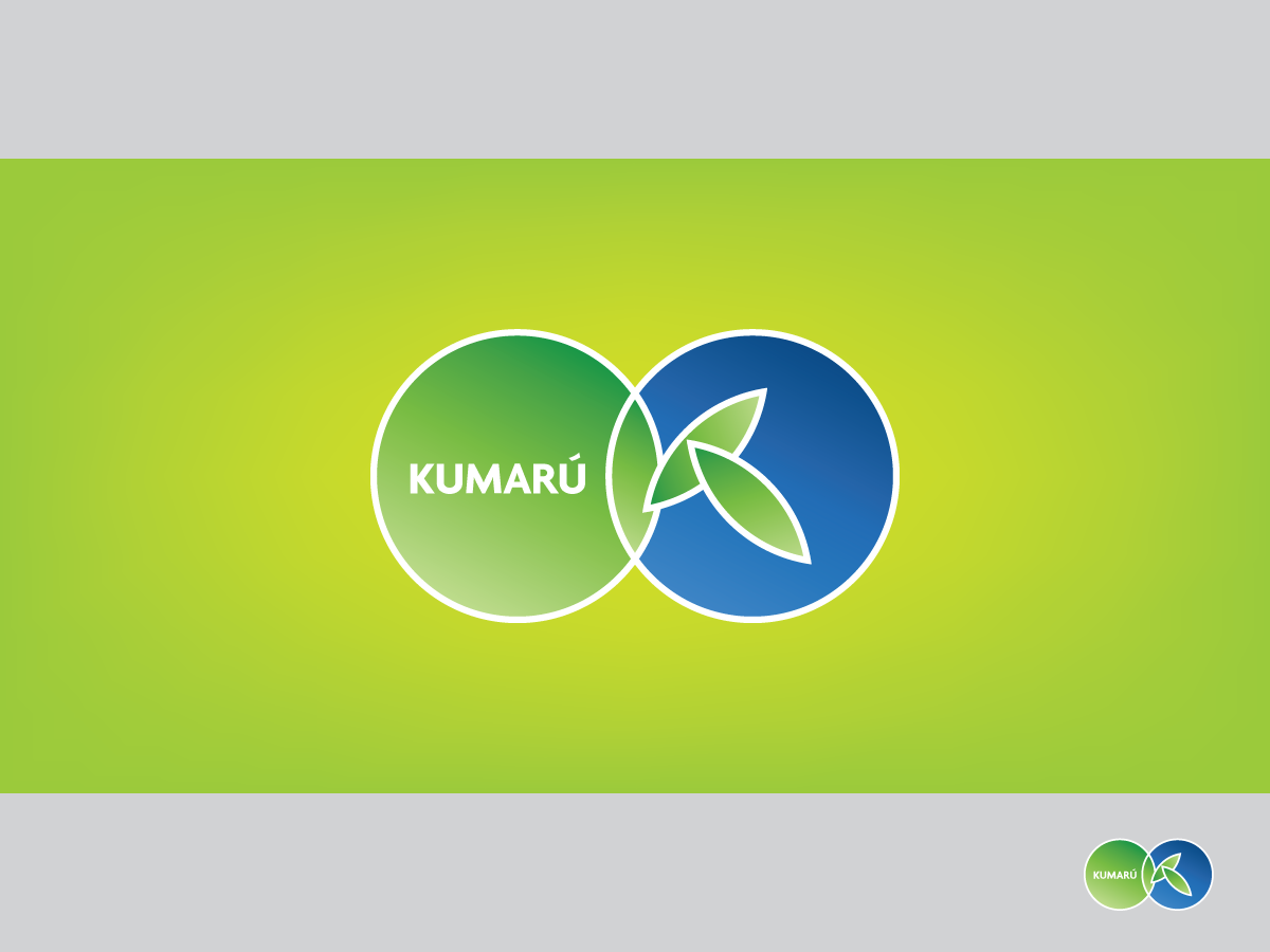 Logo Design by papaukke for this project | Design #3474928