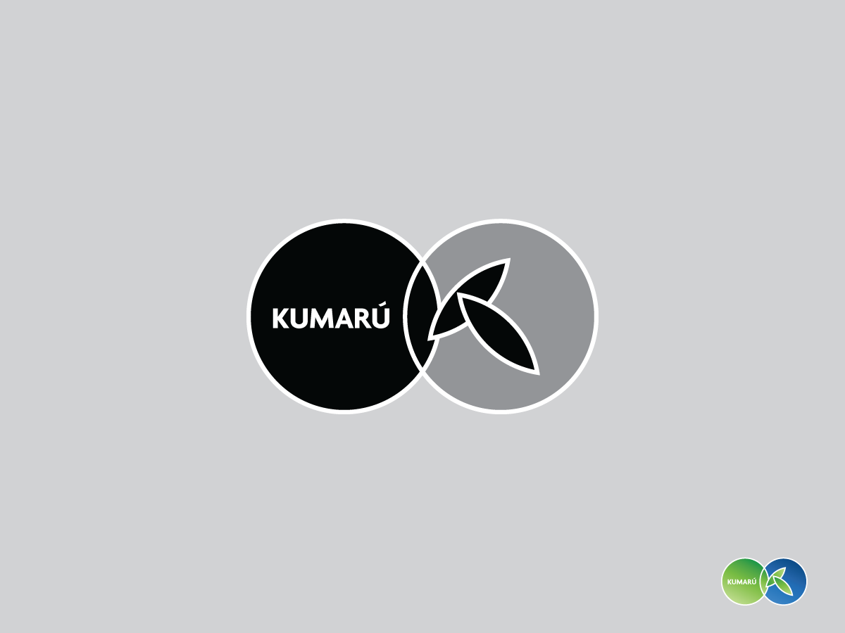 Diseño de Logo por papaukke para este proyecto | Diseño #3474931