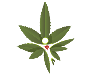 Business Card Design by Lorenzo Vizin for CannAware, LLC | Design: #3513322