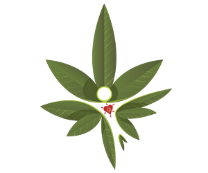 Business Card Design by Lorenzo Vizin for CannAware, LLC | Design: #3535377