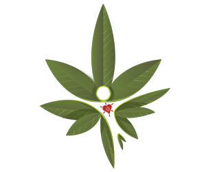 Business Card Design by Lorenzo Vizin for CannAware, LLC | Design: #3537294