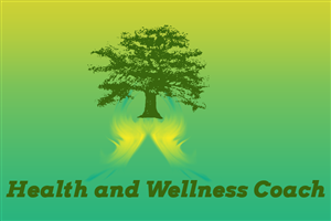 Logo Design by Aijaz Hayat