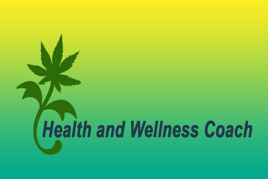 Logo Design by Aijaz Hayat for this project | Design #3567691