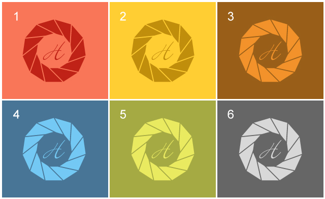 Logo Design by Designers Group for Henriquez Photography inc | Design #3499304