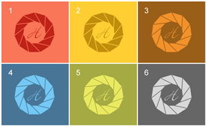 Logo Design by Designers Group for Henriquez Photography inc | Design #3499304