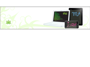 Banner Ad Design by Star Blue Design