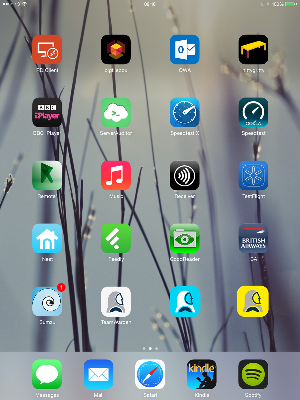 Design de Logo par madeli pour BigBox Software Ltd | Design #3517403