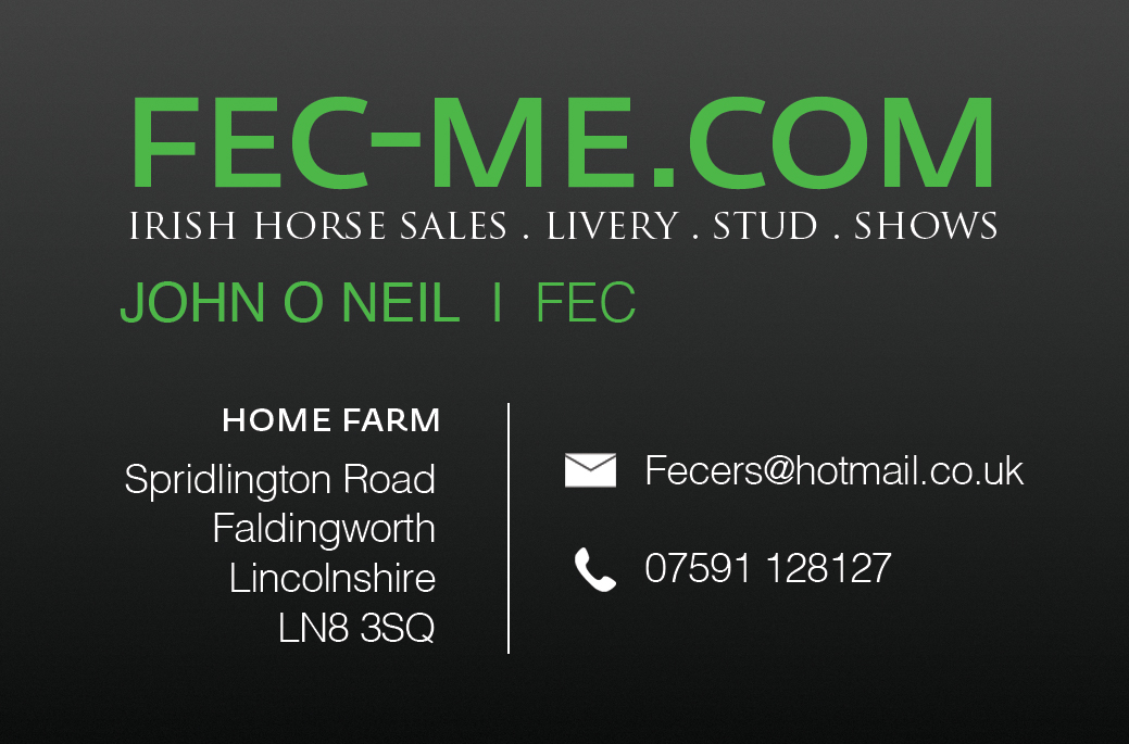 Business Card Design by Joshua Carmichael for Fec | Design #3484147