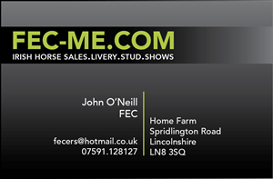 Business Card Design by sbegley