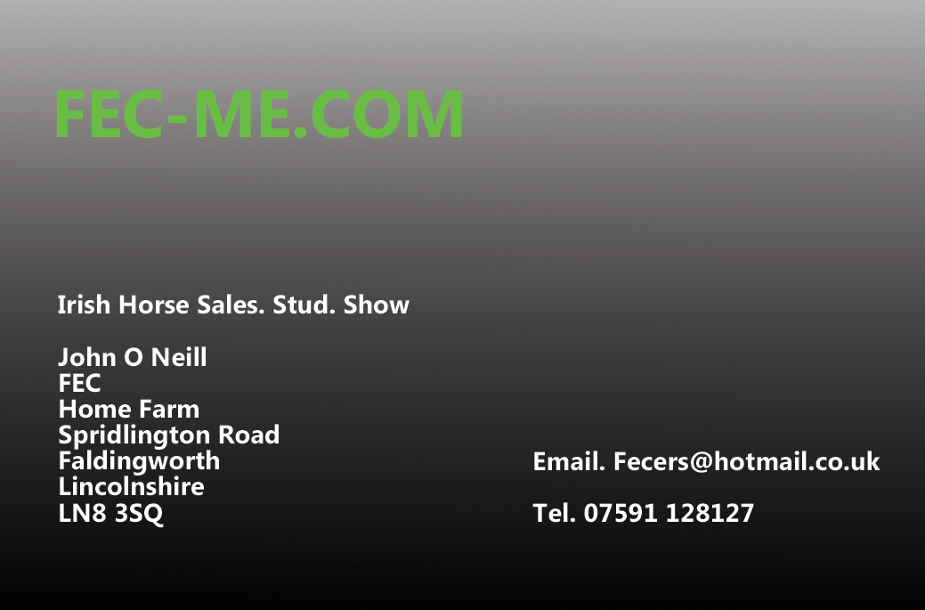 Business Card Design by Lumyx2001 for Fec | Design #3493669