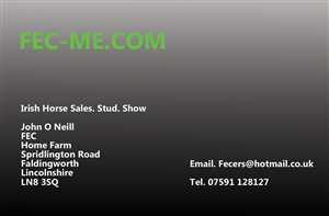 Business Card Design by Lumyx2001 for Fec | Design: #3493669