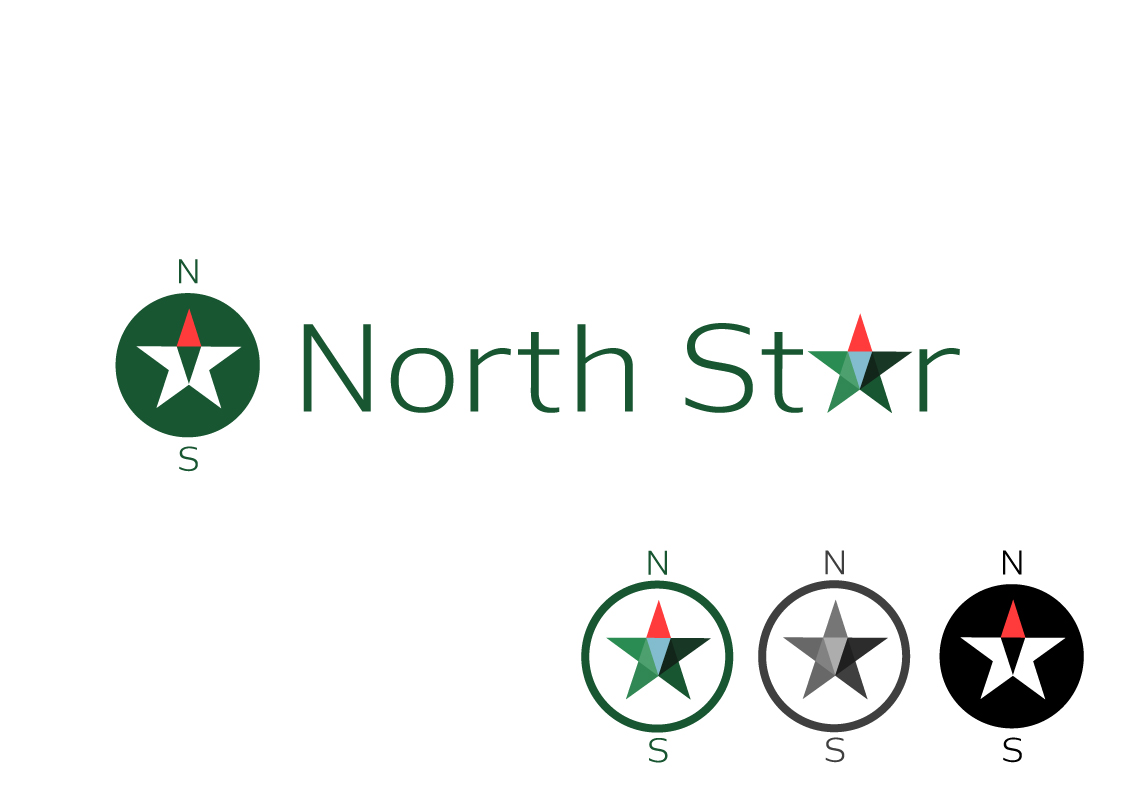 Logo Design by Natan for North Star Chiropractic Center | Design #3483176