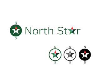 Logo Design by Natan for North Star Chiropractic Center | Design #3483176