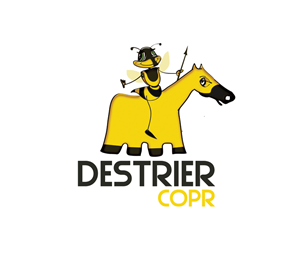 Logo Design by ksenia design