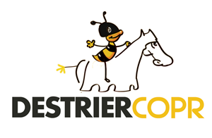 Destriercorp | Logo Design by ksenia design