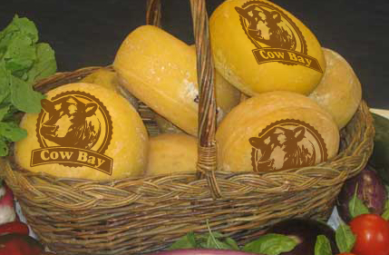 Logo Design by Sssilent for this project | Design #858714