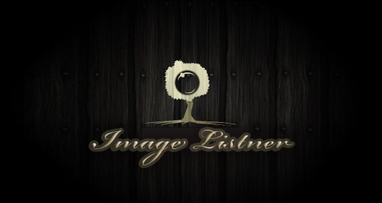 Logo Design by Hammad Rehman for this project | Design #870365