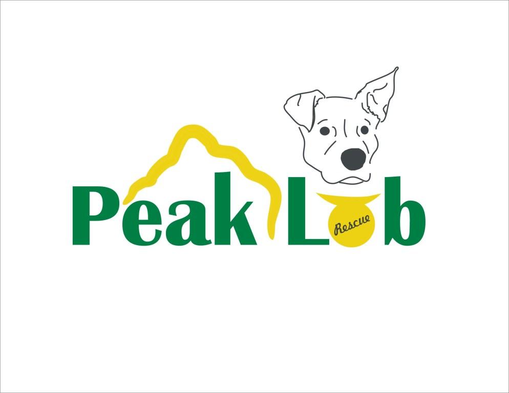 Logo Design by Asif Khan for this project | Design #3474355